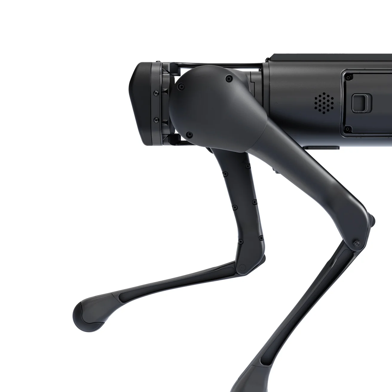Aliengo - Image 4
