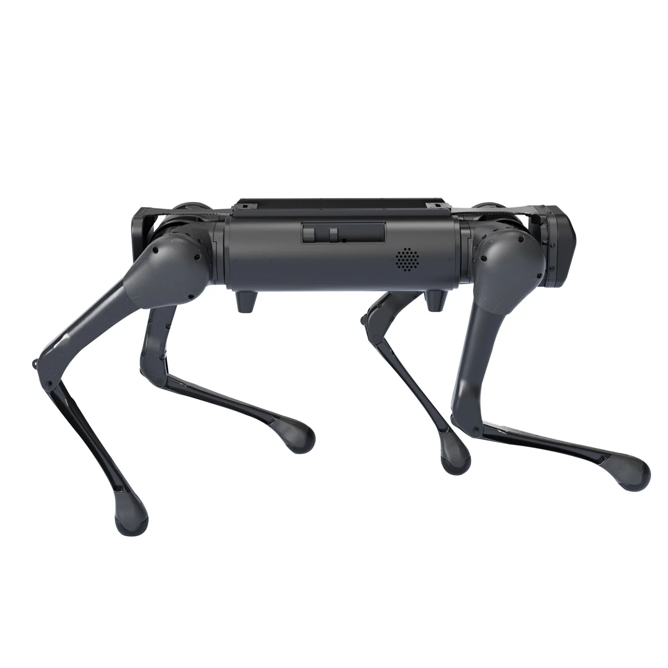 Aliengo - Image 5