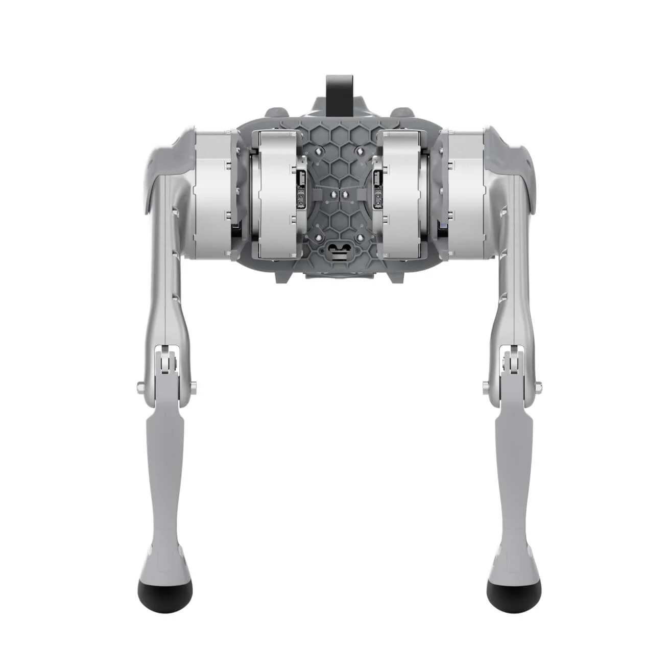 Unitree Go1 - Image 4